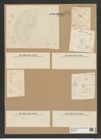 Diatomeae indet. Zeichnungen Sammlung Grunow Nr. 8481 (NHMW-BOT-W0377939)